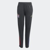 Dětské tepláky adidas OL TR PNT Y