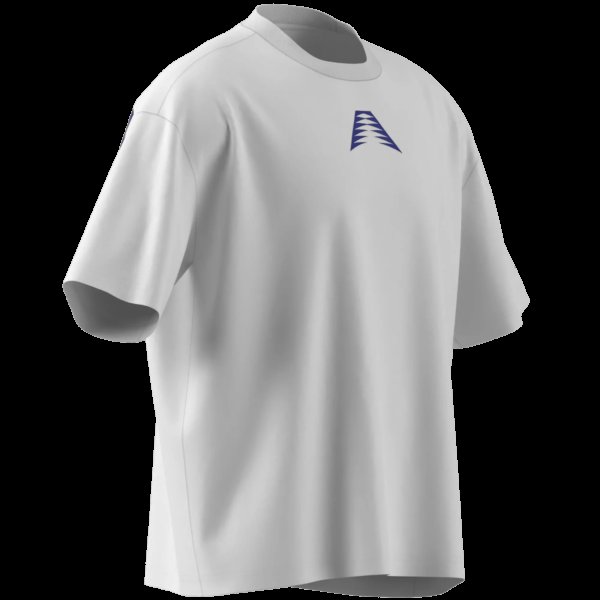 Pánské tričko adidas ANTED BT2 TEE - foto 9