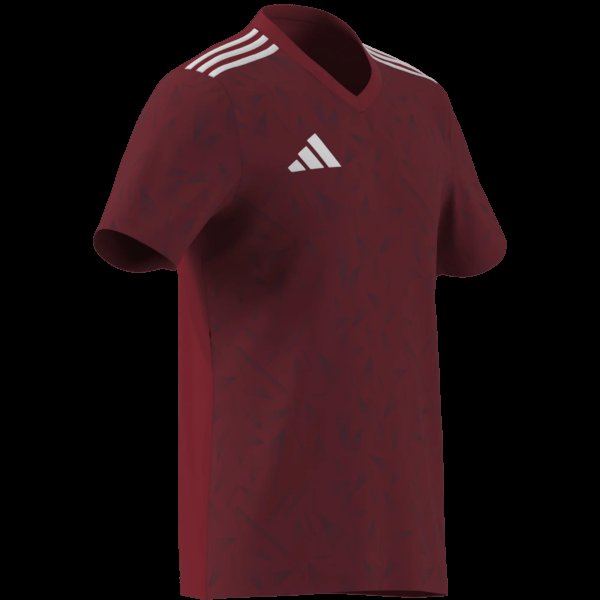 Pánský dres adidas T ICON25 JSY M - foto 10