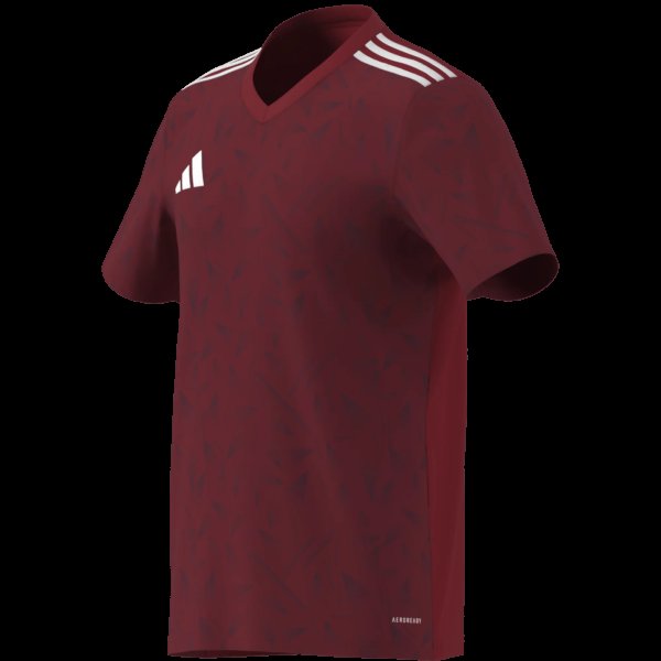 Pánský dres adidas T ICON25 JSY M - foto 16