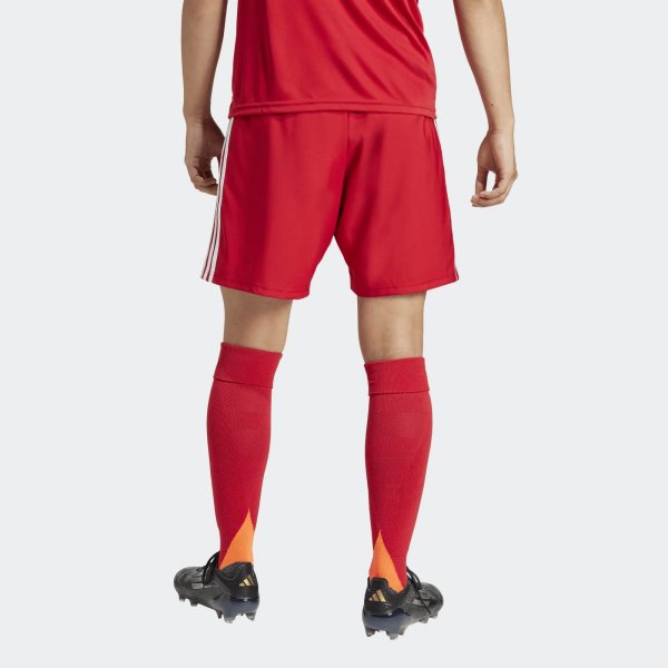 Pánské šortky adidas TASTIGO25 SHO M - foto 4