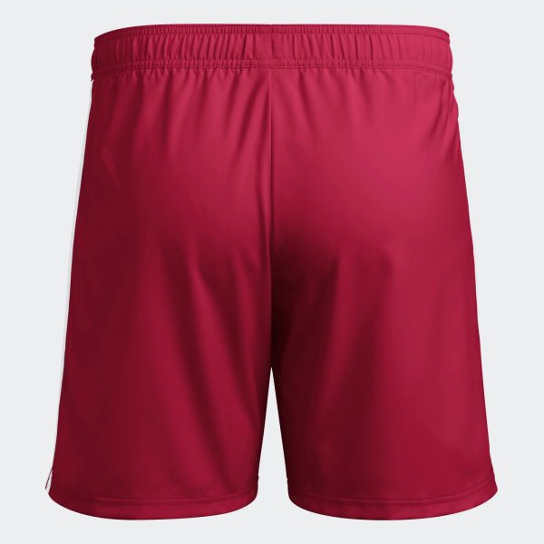 Pánské šortky adidas TASTIGO25 SHO M - foto 2