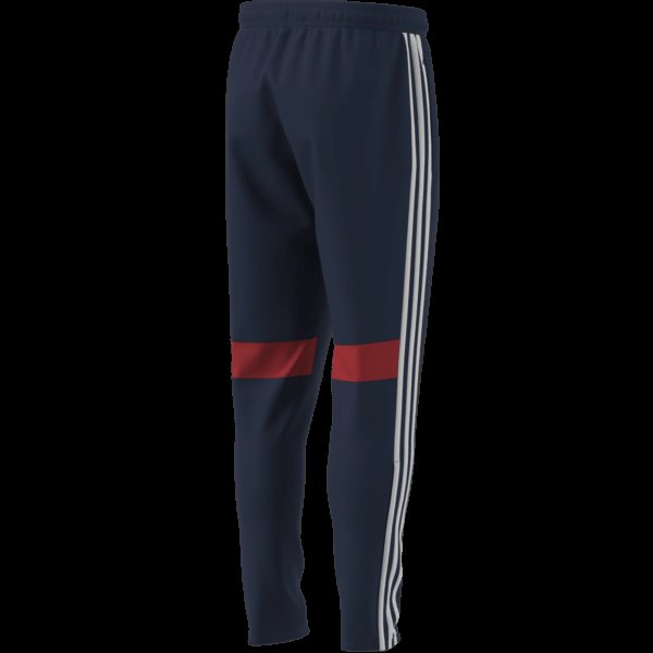 Pánské tepláky adidas TIRO ES WINPNT - foto 10