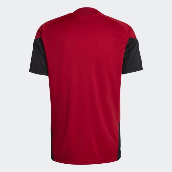 Pánský dres adidas DFB TR JSY - foto 1