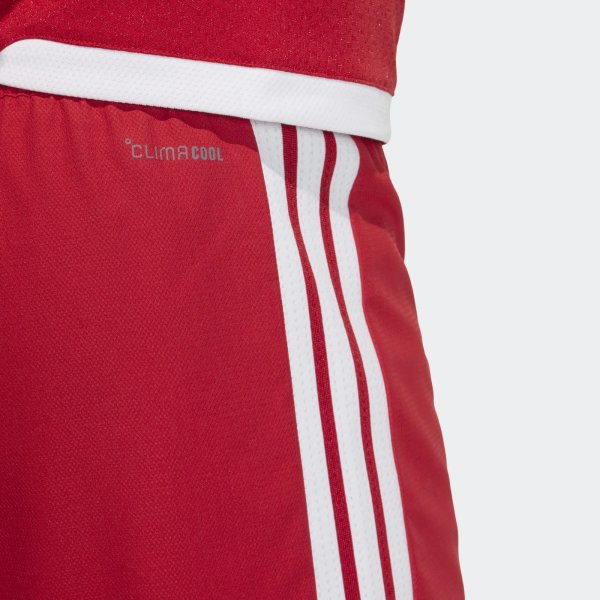 Pánské šortky adidas TIRO26 C M SHOM - foto 6