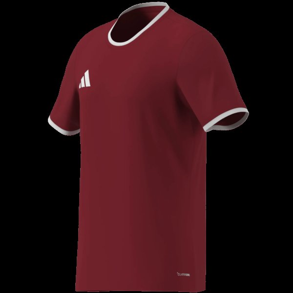 Pánský dres adidas ENT26 JSY - foto 15