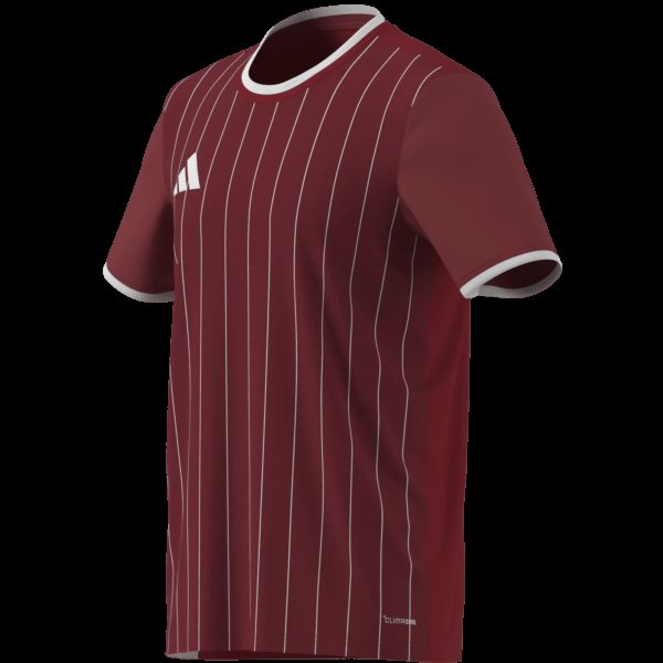 Pánský dres adidas ENT26 GFX JSY - foto 15