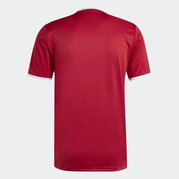 Pánský dres adidas ENT26 GFX JSY - foto 1