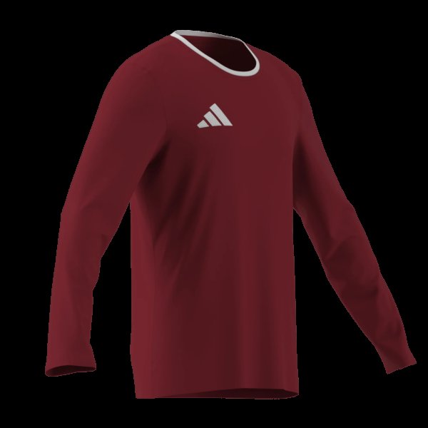 Pánský dres adidas ENT26 JSY LS - foto 10
