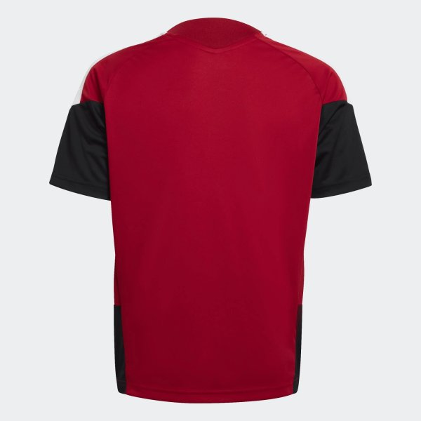 Dětský dres adidas DFB TR JSYY - foto 1