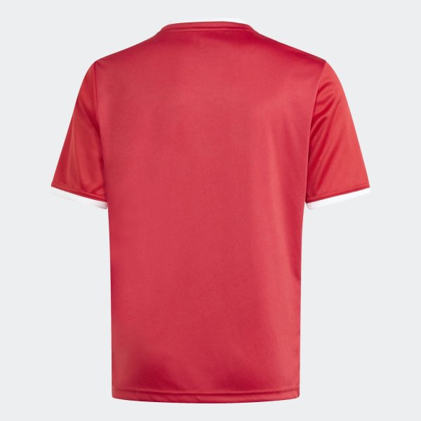 Dětský dres adidas ENT26 GFX JSY Y - foto 2