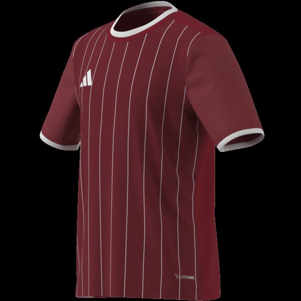 Dětský dres adidas ENT26 GFX JSY Y - foto 13
