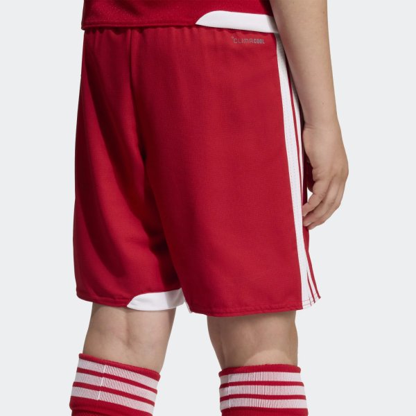 Dětské šortky adidas TIRO26 C M SHOY - foto 5