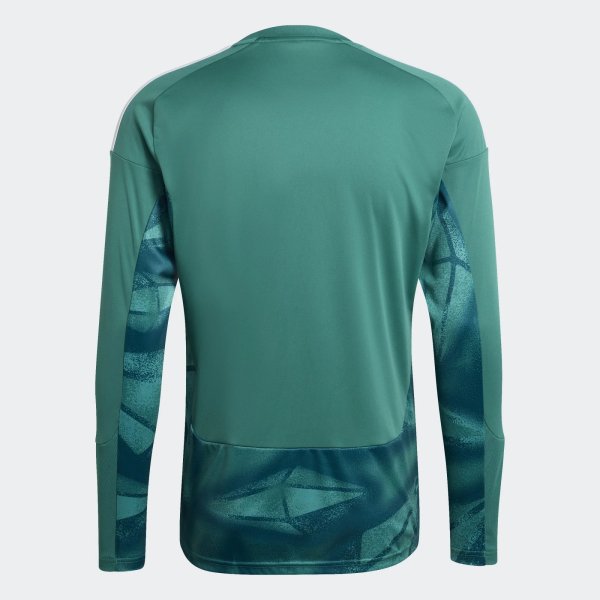 Pánský dres adidas DFB H GK JSY - foto 1