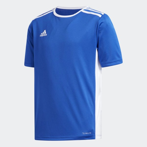Dětské tričko adidas ENTRADA 18 JSYY - foto 0