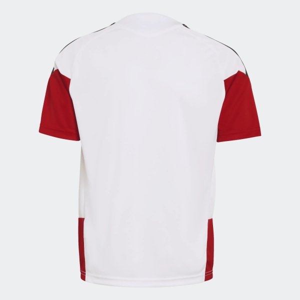Dětský dres adidas DFB TR JSYY - foto 1