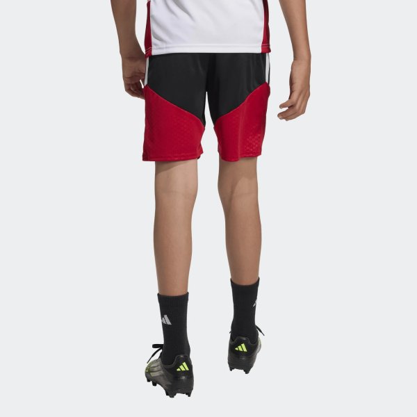 Dětské šortky adidas DFB TR SHO - foto 2