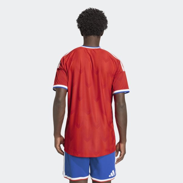 Pánský dres adidas ANFP H JSY AU - foto 3