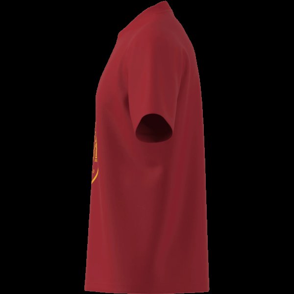 Pánské tričko adidas FEF DNA GR TEE - foto 12
