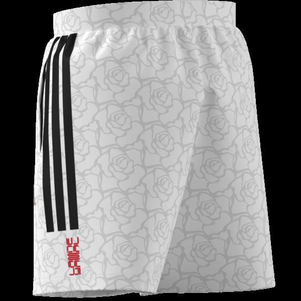 Pánské šortky adidas LY HOT WV SH - foto 12