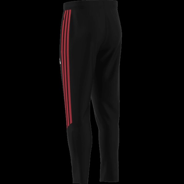 Pánské tepláky adidas TIRO26C PNT - foto 14