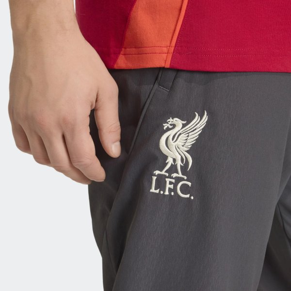 Pánské tepláky adidas LFC PRE PNT - foto 5