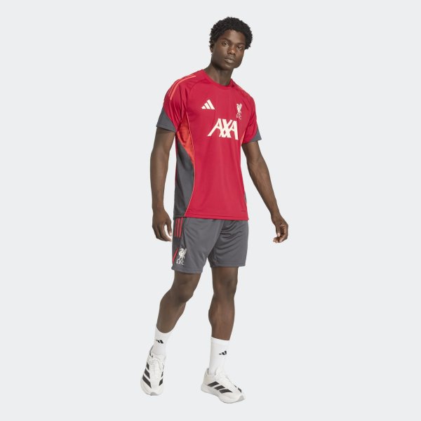 Pánské šortky adidas LFC TR SHO - foto 3