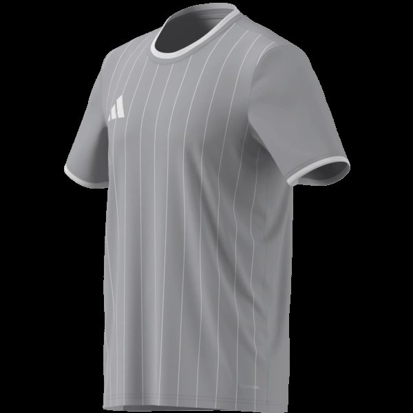 Pánský dres adidas ENT26 GFX JSY - foto 14