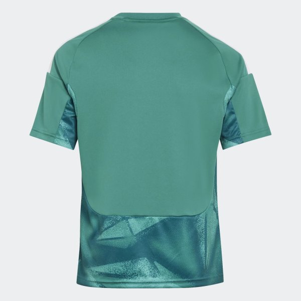 Dětský dres adidas DFB H GK JSY Y - foto 1