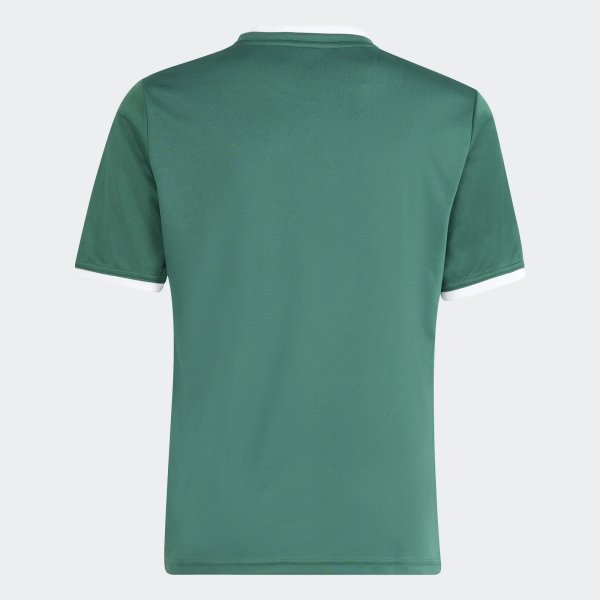 Dětský dres adidas ENT26 GFX JSY Y - foto 2