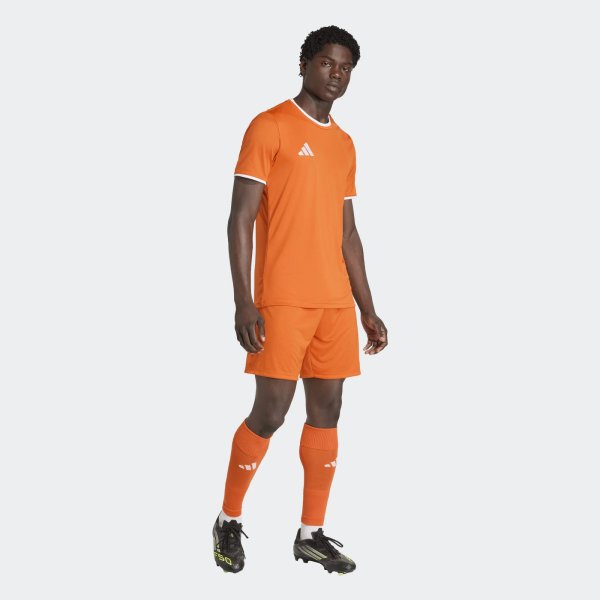 Pánský dres adidas ENT26 JSY - foto 4