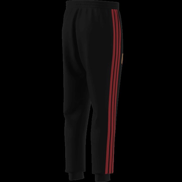 Pánské tepláky adidas RBFA DNA PNT - foto 10