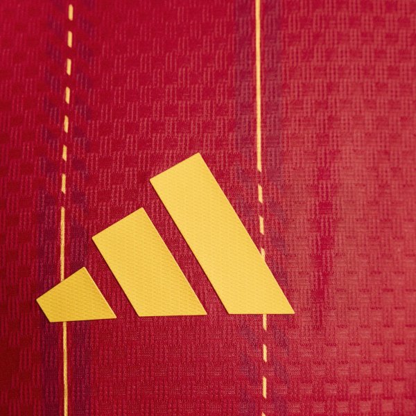 Pánský dres adidas RFEF H JSY AU - foto 16