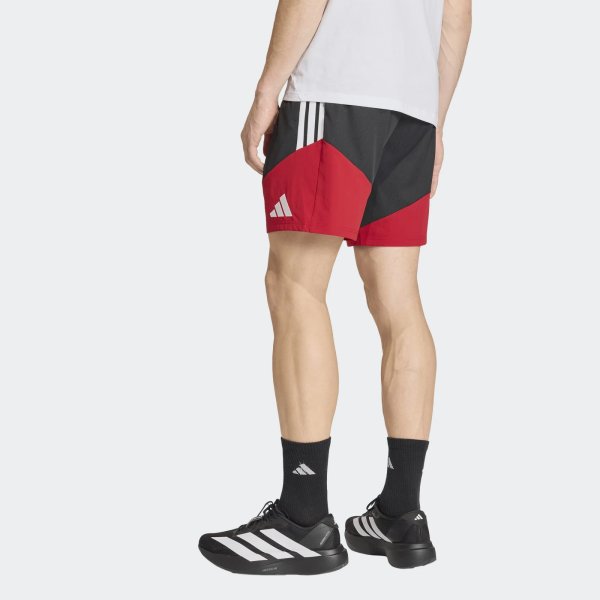 Pánské šortky adidas DFB DT SHO - foto 2