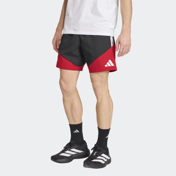 Pánské šortky adidas DFB DT SHO - foto 1