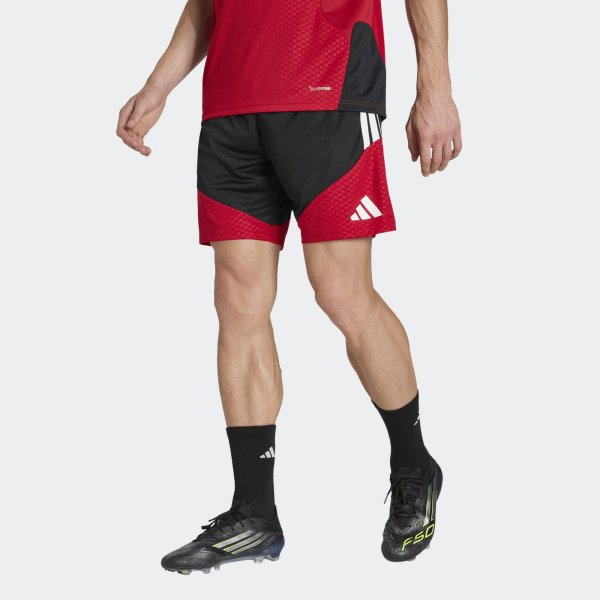 Pánské šortky adidas DFB TR SHO - foto 1