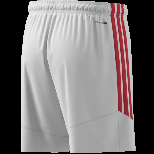 Pánské šortky adidas TIRO26L SHO M - foto 10