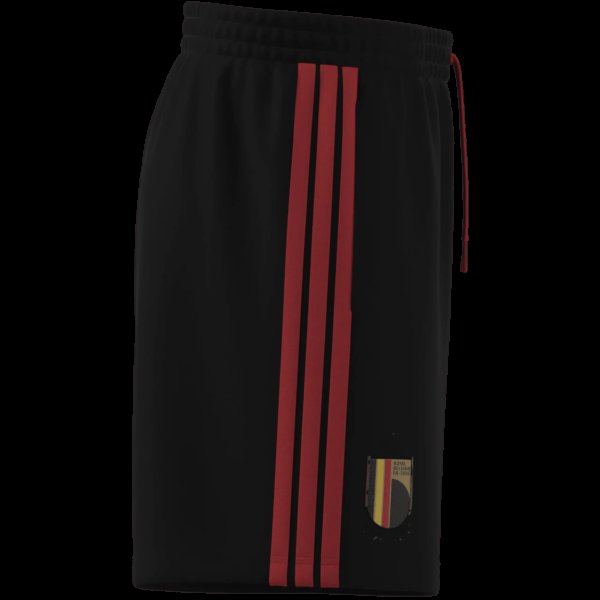 Pánské šortky adidas RBFA DNA SHO - foto 9