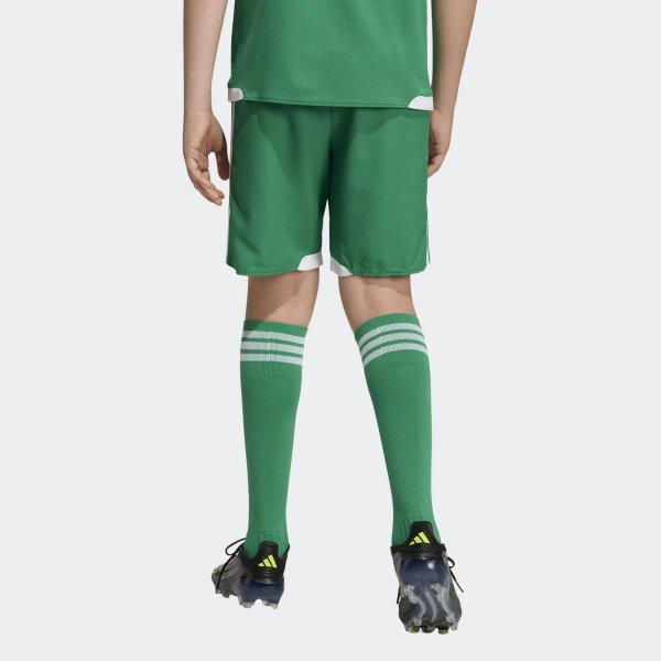 Dětské šortky adidas TIRO26 C M SHOY - foto 2