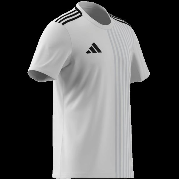 Pánský dres adidas CAMPEON25 JSY M - foto 10