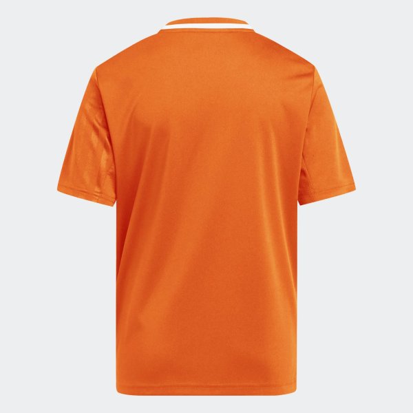 Dětský dres adidas CAMPEON25 JSY Y - foto 2