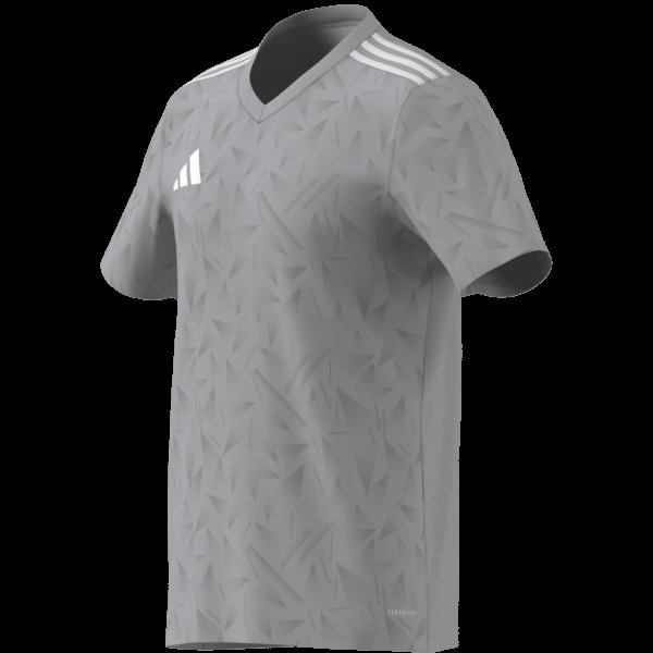 Pánský dres adidas T ICON25 JSY M - foto 16