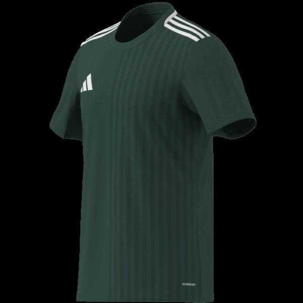 Pánský dres adidas CAMPEON25 JSY M - foto 15