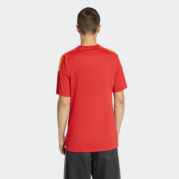 Pánský dres adidas RBFA H JSY FAN - foto 3