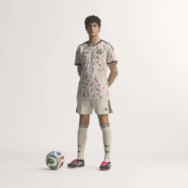 Pánský dres adidas ANFP A JSY AU - foto 15