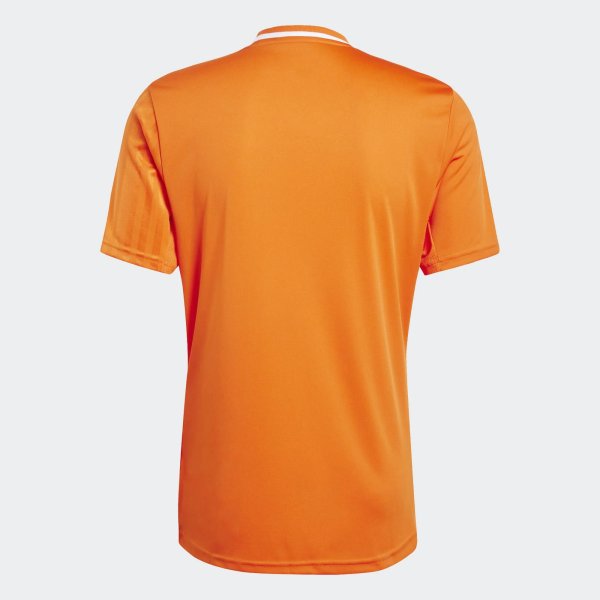 Pánský dres adidas CAMPEON25 JSY M - foto 2