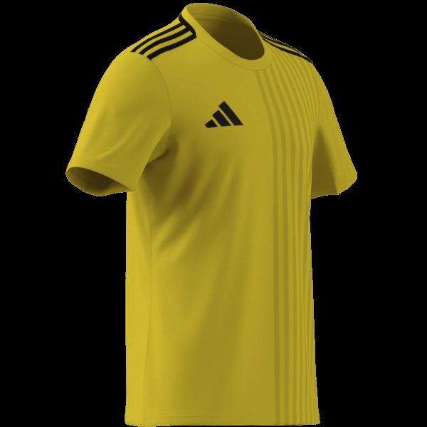 Pánský dres adidas CAMPEON25 JSY M - foto 10