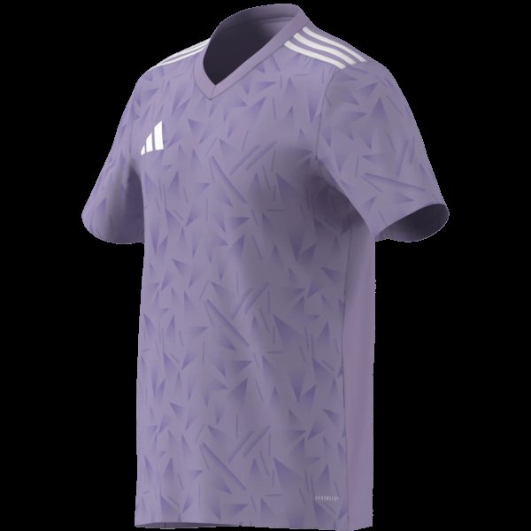 Pánský dres adidas T ICON25 JSY M - foto 14