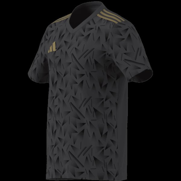 Pánský dres adidas T ICON25 JSY M - foto 15